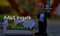 AAUI Ingatkan Skema Co