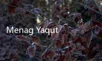 Menag Yaqut: Generasi Muda Harus Jaga Tradisi dan Kembangkan Teknologi