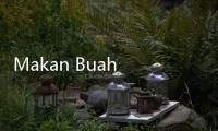 Makan Buah Naga Setiap Hari, Bolehkah?